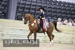 23R13_02434 thumbnail