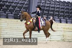 23R13_02435 thumbnail