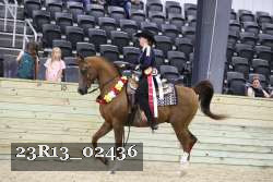 23R13_02436 thumbnail