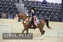 23R13_02437 thumbnail