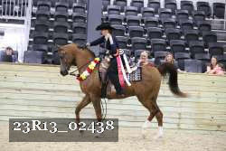 23R13_02438 thumbnail