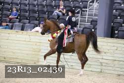23R13_02439 thumbnail
