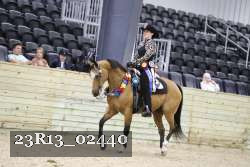 23R13_02440 thumbnail