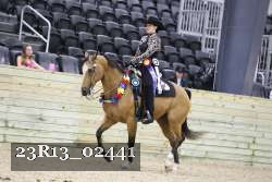 23R13_02441 thumbnail