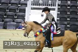 23R13_02445 thumbnail