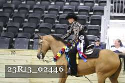 23R13_02446 thumbnail