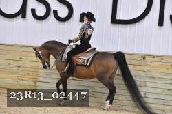 23R13_02447 thumbnail