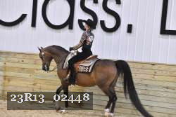 23R13_02448 thumbnail