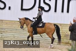23R13_02449 thumbnail