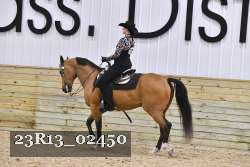 23R13_02450 thumbnail