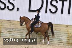 23R13_02451 thumbnail