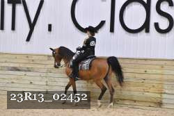 23R13_02452 thumbnail