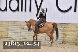 23R13_02454 thumbnail
