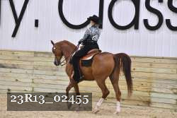 23R13_02455 thumbnail
