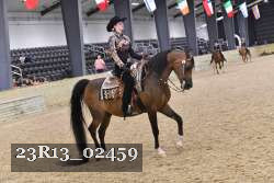 23R13_02459 thumbnail