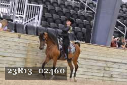 23R13_02460 thumbnail