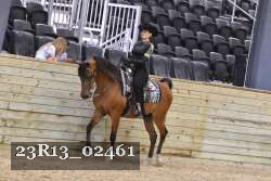 23R13_02461 thumbnail