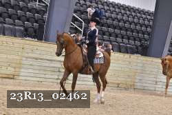 23R13_02462 thumbnail