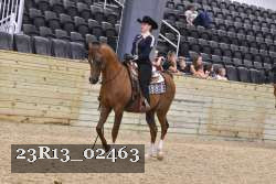 23R13_02463 thumbnail