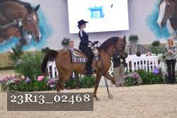23R13_02468 thumbnail