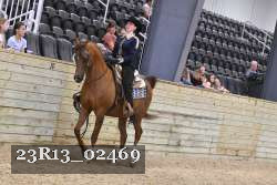 23R13_02469 thumbnail