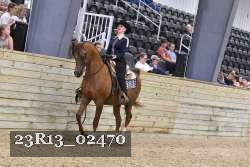 23R13_02470 thumbnail