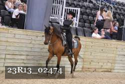 23R13_02474 thumbnail