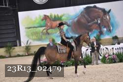 23R13_02479 thumbnail