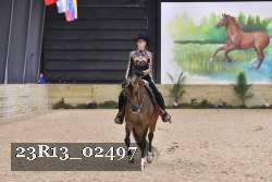 23R13_02497 thumbnail