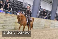 23R13_02500 thumbnail