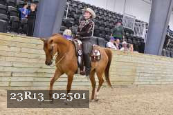 23R13_02501 thumbnail