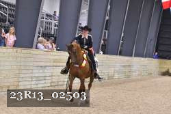 23R13_02503 thumbnail