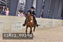 23R13_02504 thumbnail