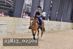23R13_02509 thumbnail