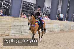 23R13_02510 thumbnail