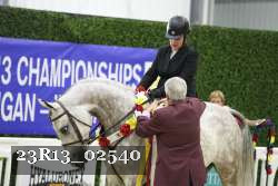 23R13_02540 thumbnail
