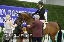 23R13_02542 thumbnail