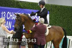23R13_02543 thumbnail