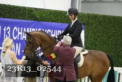 23R13_02544 thumbnail