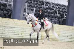23R13_02549 thumbnail