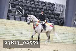 23R13_02550 thumbnail