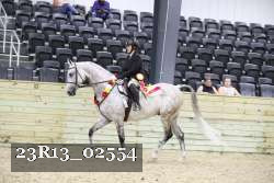 23R13_02554 thumbnail