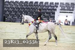 23R13_02556 thumbnail