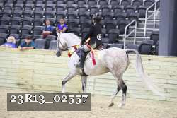 23R13_02557 thumbnail