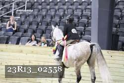 23R13_02558 thumbnail