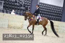 23R13_02559 thumbnail