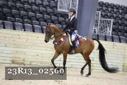 23R13_02560 thumbnail