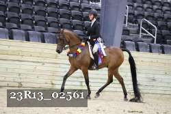 23R13_02561 thumbnail