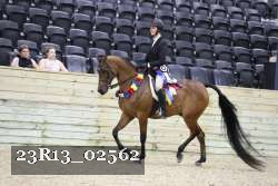 23R13_02562 thumbnail