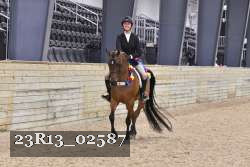 23R13_02587 thumbnail